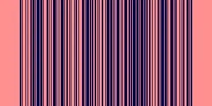 Example barcode